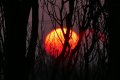 Matin rouge